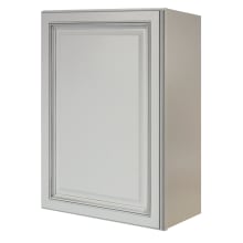 Riley 21" Wide x 30" High Single Door Wall Cabinet with 2 Shelves