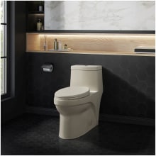 Virage 1.1 GPF Dual Flush One Piece Elongated Toilet with Push Button Flush - Seat Included