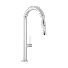 Chalet 1.5 GPM Single Hole Pull Down Kitchen Faucet
