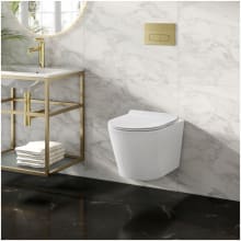 Calice Wall Mounted Round Toilet Bowl Only - Seat Included