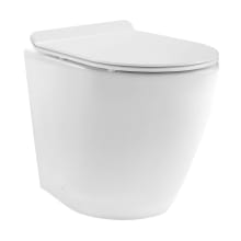 St. Tropez Wall Mounted Elongated Toilet Bowl Only - Seat Included