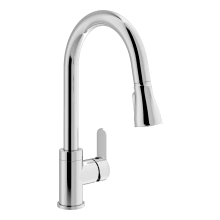 Identity 1.5 GPM Single Hole Pull Down Kitchen Faucet
