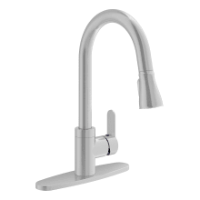 Identity 1.5 GPM Single Hole Pull Down Kitchen Faucet - Includes Escutcheon