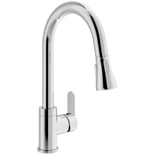 Identity 1.5 GPM Single Hole Pull Down Kitchen Faucet - Includes Optional Escutcheon