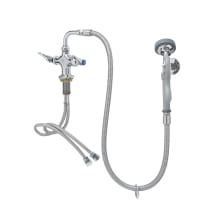1.42 GPM Deck Mounted Single Hole Food Service Faucet with Angled Spray Valve, 44" Flexible Stainless Steel Supply Hose, and Wall Hook