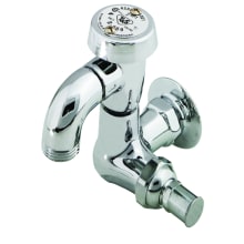 Sill Faucet with Vacuum Breaker, Loose Key Stop, 1/2" NPT Female Flanged Inlet and 3/4" Hose Threads