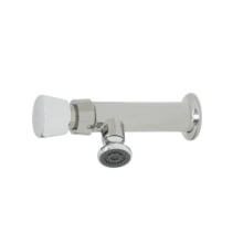 Metering Faucet, Single Temperature, 1/2" NPT Female Inlet, Rosespray