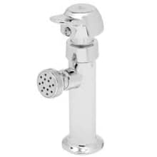 Wash Sink Single Temperature Metering Faucet with Rosespray and 1/2" NPT Female Inlet