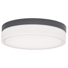 Cirque Convertible 11" Wide Outdoor Flush Mount Drum Ceiling Fixture / Wall Sconce
