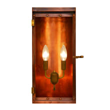 Luna 2 Light 18" Tall Outdoor Wall Sconce