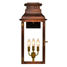 Palmetto Street Copper 3 Light 24" Tall Electric Outdoor Wall Sconce