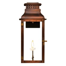 Palmetto Street Copper 24" Tall Natural Gas Outdoor Wall Sconce