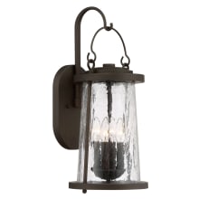 Haverford Grove 4 Light 21-1/2" Tall Outdoor Wall Sconce with Clear Crackled Glass Shade