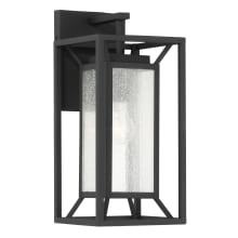 Harbor View 17" Tall Outdoor Ever-Pro Wall Sconce with Clear Seedy Glass