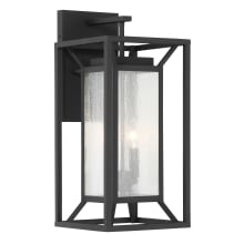 Harbor View 2 Light 21" Tall Outdoor Ever-Pro Wall Sconce with Clear Seedy Glass