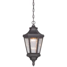 Hanford Pointe 19" Tall Ever-Pro LED Outdoor Pendant with Clear Water Glass