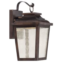 Irvington Manor 12" Tall 13w LED Outdoor Wall Sconce with Seeded Glass