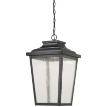 Irvington Manor 13" Wide LED Outdoor Single Pendant  with Seedy Glass Shade