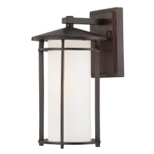 Addison Park 1 Light 12-1/2" Tall Outdoor Wall Sconce with Etched Opal Glass