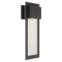 Westgate 20" Tall LED Wall Sconce with Clear Seedy Glass