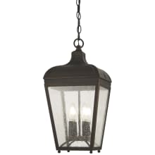 Marquee 4 Light 8" Wide Outdoor Pendant with Seedy Glass