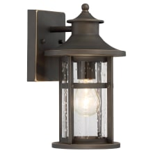 Highland Ridge 1 Light 12" Tall Outdoor Wall Sconce with Clear Crackled Glass