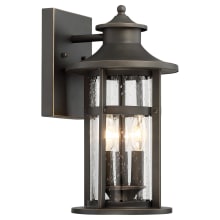Highland Ridge 3 Light 15" Tall Outdoor Wall Sconce with Clear Crackled Glass