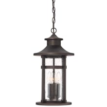 Highland Ridge 3 Light 8" Wide Outdoor Pendant with Clear Crackled Glass