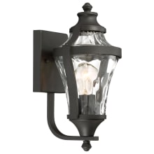 Libre 1 Light 14" Tall Outdoor Wall Sconce with Water Glass Shade