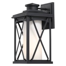 Lansdale 13" Tall Outdoor Wall Sconce with Etched Opal Glass