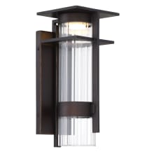 Kittner 14" Tall LED Outdoor Wall Sconce with Clear Ribbed Glass