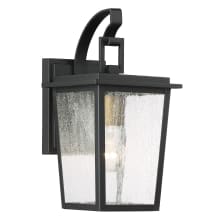 Cantebury 1 Light 14" Tall Outdoor Wall Sconce with Clear Seeded Glass