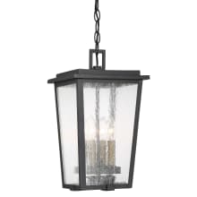 Cantebury 4 Light 9" Wide Outdoor Pendant with Clear Seeded Glass