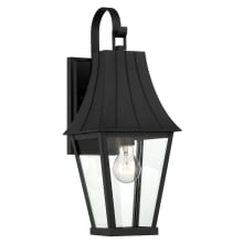 Chateau Grande 19" Tall Outdoor Wall Sconce with Clear Glass