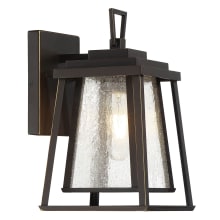Sleepy Hollow 1 Light 12" Tall Outdoor Wall Sconce with Seedy Glass Shade