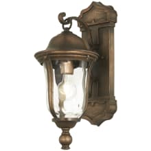Havenwood 1 Light 19" Tall Outdoor Wall Sconce with Clear Hammered Glass