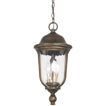 Havenwood 3 Light 10" Wide Outdoor Pendant with Clear Hammered Glass