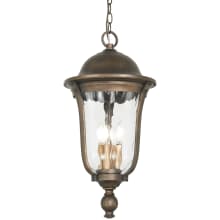 Havenwood 4 Light 12" Wide Outdoor Pendant with Hammered Glass