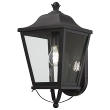 Savannah 1 Light 16" Tall Outdoor Wall Sconce with Clear Glass