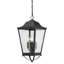 Savannah 4 Light 10" Wide Outdoor Pendant with Clear Glass