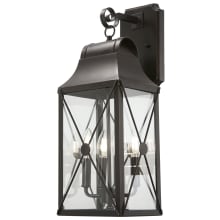 De Luz 1 Light 8-1/2" Wide Outdoor Wall Sconce with Clear Glass