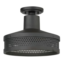 Abalone Point 12" Wide Dark Sky Semi-Flush Outdoor Ceiling Fixture