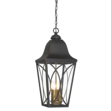 Cardigan 4 Light 11" Wide Outdoor Pendant with Clear Glass Shade