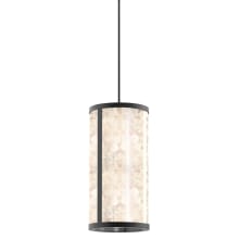 Salt Creek 13" Wide LED Outdoor Pendant with Clear Acrylic Shade