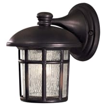 Cranston 1 Light 9" Tall Outdoor Wall Sconce with Driftwood Glass