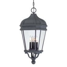 4 Light Lantern Pendant from the Harrison Collection