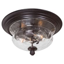 Merrimack 2 Light 13" Wide Flush Mount Ceiling Fixture with Hammered Glass Shade