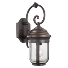 Amherst 1 Light 17" Tall Outdoor Wall Sconce with Clear Seeded Glass