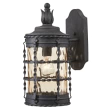 Mallorca 1 Light 16" Tall Outdoor Wall Sconce with Champagne Hammered Glass