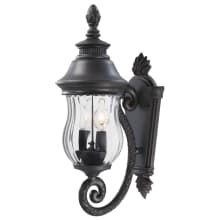 Newport 2 Light 19-1/2" Tall Outdoor Wall Sconce with Clear Optic Glass